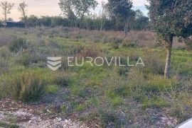 Istra, Peroj, poljoprivredno zemljište 512m2, Vodnjan, Terra