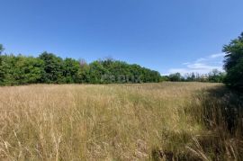 ISTRA, RAKALJ - Kompleks građevinskog i poljoprivrednog zemljišta, Marčana, Tierra