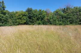 ISTRA, RAKALJ - Kompleks građevinskog i poljoprivrednog zemljišta, Marčana, Tierra