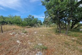 ISTRA, KRNICA - Kompleks zemljišta s pogledom na more, Marčana, Tierra