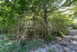 Bribir-građevinsko zemljište u šumskom području, Vinodolska Općina, Land