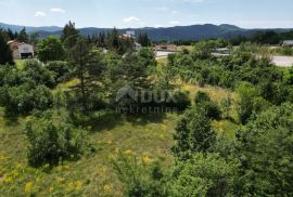 MATULJI, JURDANI, RUPA- građevinsko zemljište 9000m2 s GRAĐ. DOZVOLOM za halu i poslovno stambenu zgradu, Matulji, Land