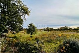 ISTRA, VODNJAN - Zemljište s pogledom na brijunski arhipelag, Vodnjan, Земля