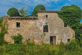 Starina za obnovu u prirodi nedaleko od Žminja, Žminj, Famiglia