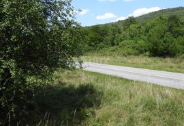 MATULJI, RUPA, LIPA- građevinsko zemljište 5021m2 za halu, Matulji, Terreno