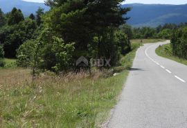 MATULJI, RUPA, LIPA- građevinsko zemljište 5021m2 za halu, Matulji, Terreno