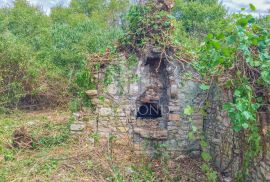 Savudrija, građevinsko zemljište 3.5 km do mora!, Umag, Terreno