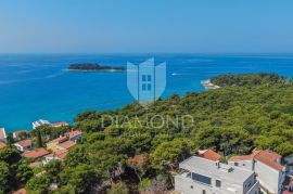 Rovinj, luksuzna villa na mirnoj i poželjnoj lokaciji, Rovinj, Kuća