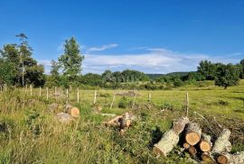 ISTRA, GROŽNJAN - Prostrano zemljište na rubu naselja, Grožnjan, Γη