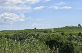 ISTRA, BUJE - Građevinsko zemljište na rubu građevinske zone, panoramski pogled, Buje, أرض