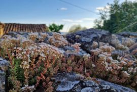 ISTRA, LIVADE (OKOLICA) - Kamene starine s panoramskim pogledom, Oprtalj, Σπίτι