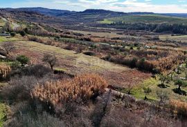 ISTRA, BUJE - Zemljište s panoramskim pogledom, Buje, Land