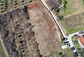 ISTRA, BUJE - Zemljište s panoramskim pogledom, Buje, Land