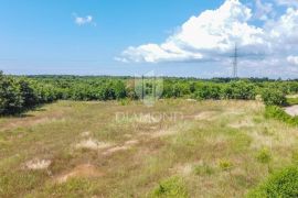 Zemljište sa građevinskom dozvolom u okolici Vodnjana!, Vodnjan, Terrain