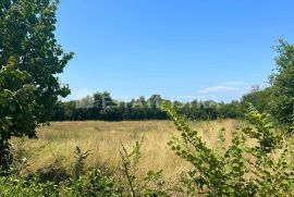 Prodaje se građevinsko zemljište u Kužinićima, općina Marčana, Istra, Marčana, Tierra