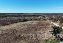 GRAĐEVINSKO ZEMLJIŠTE; POGLED MORE; BUJE; PRODAJA!, Buje, Arazi