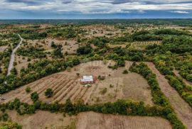 ISTRA, BARBAN Posebna priča o prekrasnom imanju!, Barban, Σπίτι