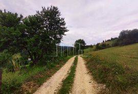 Imanje Biosko 6000m2 prodaja, Istočno Novo Sarajevo, Arazi