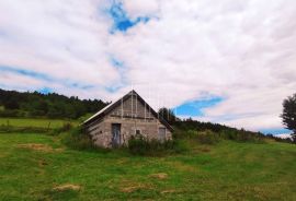 Imanje Biosko 6000m2 prodaja, Istočno Novo Sarajevo, Arazi