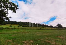 Imanje Biosko 6000m2 prodaja, Istočno Novo Sarajevo, Arazi