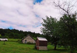 Imanje Biosko 6000m2 prodaja, Istočno Novo Sarajevo, Arazi