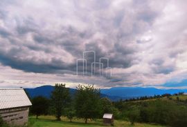 Imanje Biosko 6000m2 prodaja, Istočno Novo Sarajevo, Arazi