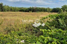 Istra, Vodnjan građeviska zemljišta 498m do 590m2, s plaćenim projektom za kuću s bazenom #prodaja, Vodnjan, Land