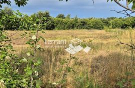 Istra, Vodnjan građeviska zemljišta 498m do 590m2, s plaćenim projektom za kuću s bazenom #prodaja, Vodnjan, Land