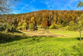 GORSKI KOTAR, MRKOPALJ-Starina s velikim zemljištem za investiciju, Mrkopalj, Дом