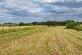 ISTRA, LIŽNJAN Građevinsko zemljište u Muntiću 900 m2, Ližnjan, Terrain