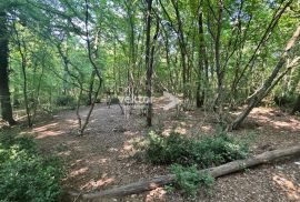 Viškovo, građevinsko zemljište za višestambenu izgradnju, Viškovo, Terrain