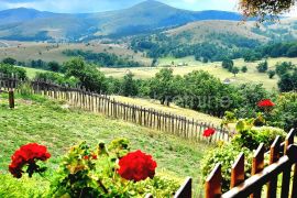 Zlatibor \