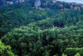 Zlatibor, Plac  1174m2 /Očka gora/ Zove/ Preporuka, Čajetina, Terrain