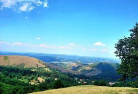 Zlatibor, Plac  1174m2 /Očka gora/ Zove/ Preporuka, Čajetina, أرض