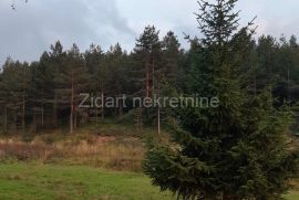 Prelep plac od 60a, Zlatibor, naselje Zova, kod Zlatiborskih konaka, Čajetina, Terreno