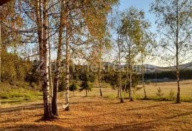 Prelep plac od 60a, Zlatibor, naselje Zova, kod Zlatiborskih konaka, Čajetina, Land