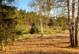 Prelep plac od 60a, Zlatibor, naselje Zova, kod Zlatiborskih konaka, Čajetina, Land