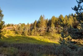 Prelep plac od 60a, Zlatibor, naselje Zova, kod Zlatiborskih konaka, Čajetina, Land