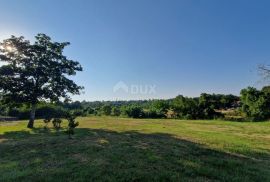 ISTRA, TINJAN - Građevinsko zemljište na pogodnoj lokaciji, Tinjan, Zemljište