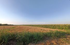 Odličan plac Šimanovci centar, Pećinci, Terrain