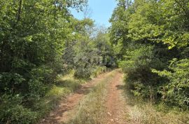 ISTRA, BARBARIGA, MANDRIOL - Zemljište za gradnju gospodarskog objekta, Vodnjan, Land