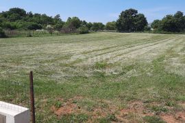 ISTRA, BARBAN - Dva građevinska zemljišta s predanim zahtjevima za izgradnju samostoječih modernih vila, Barban, Terrain