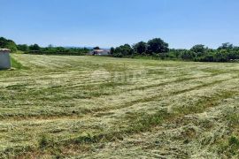 ISTRA, BARBAN - Građevinsko zemljište s predanim zahtjevom za izgradnju moderne vile, Barban, Tierra