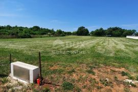 ISTRA, BARBAN - Građevinsko zemljište s predanim zahtjevom za izgradnju moderne vile, Barban, Land