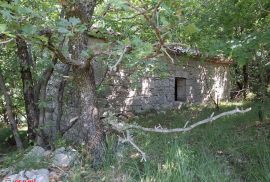 UČKA, PARK PRIRODE, KUĆA NA VELIKOJ OKUĆNICI, Lupoglav, Kuća