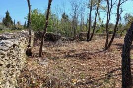 ISTRA, RAKALJ - Poljoprivredno zeljište na top lokaciji, Marčana, Terrain