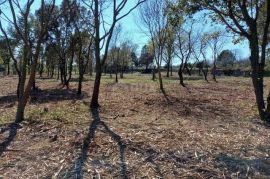 ISTRA, RAKALJ - Poljoprivredno zeljište na top lokaciji, Marčana, Terrain