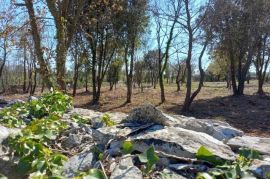 ISTRA, RAKALJ - Poljoprivredno zeljište na top lokaciji, Marčana, Terrain