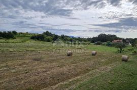 ISTRA, PIĆAN - Građevinsko zemljište pogodno za investitore, Pićan, Zemljište