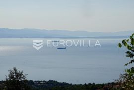 Opatija, impresivno imanje sa starinama, građevinskim i poljoprivrednim terenom, Opatija - Okolica, Haus